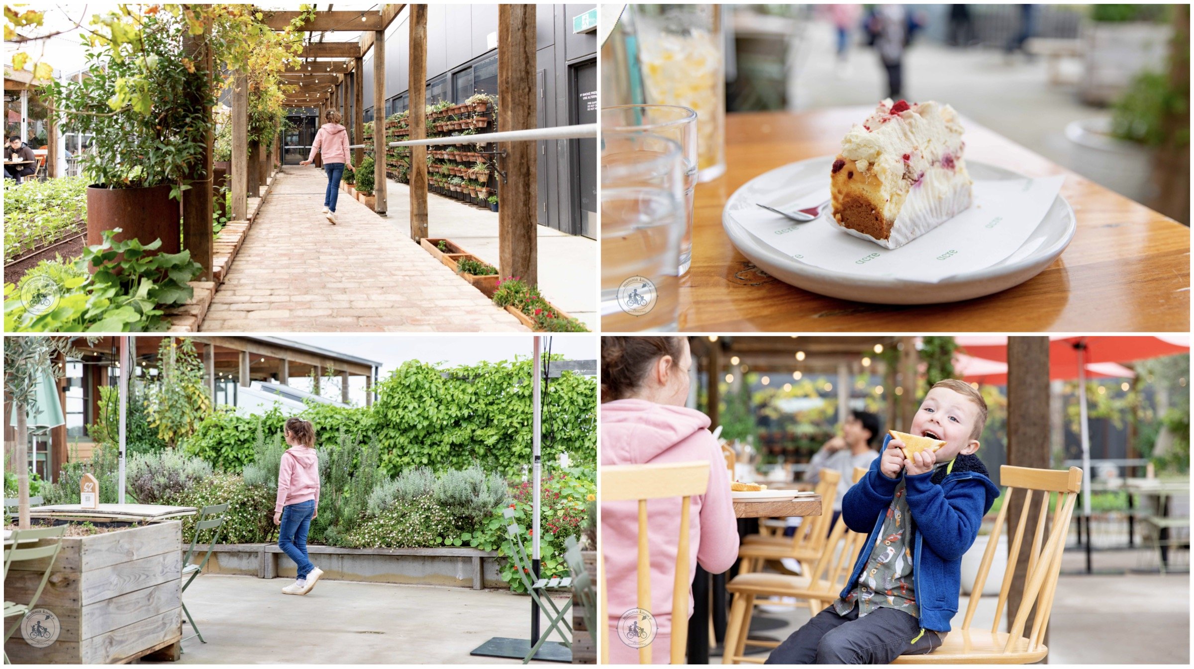 acre farm & eatery, burwood — mamma knows east