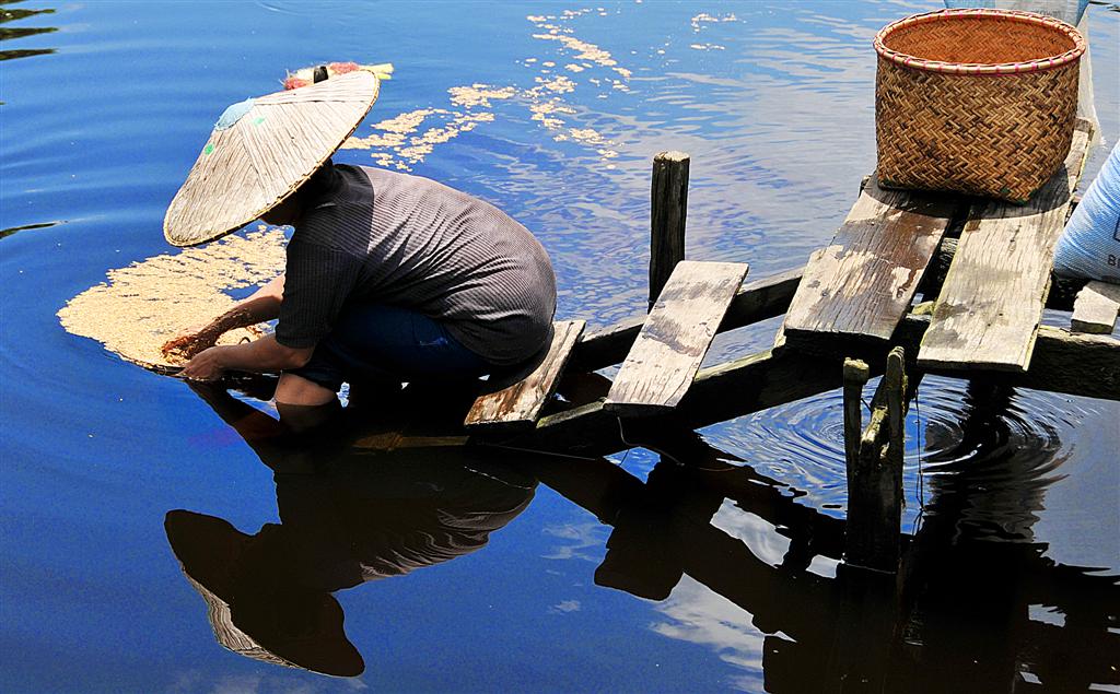 沙廉河上洗稻米老婦 washing the padi husk in Sungai Salim 逍遙遊 going places