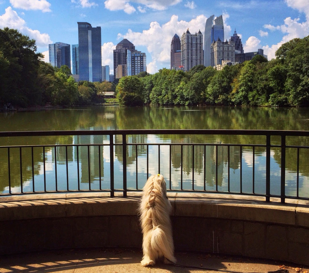 To Dog With Love 8 Great Places to Walk Your Dog in Atlanta