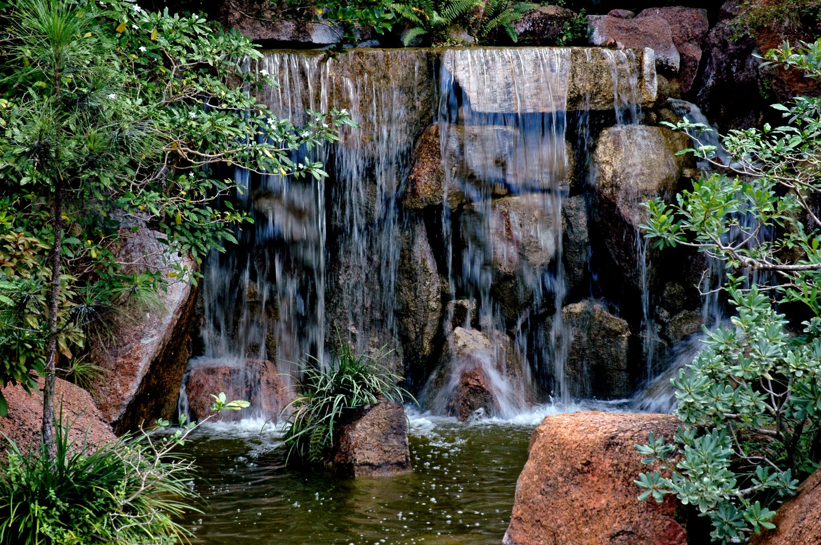South Florida Guy Morikami Museum and Japanese Gardens Delray
