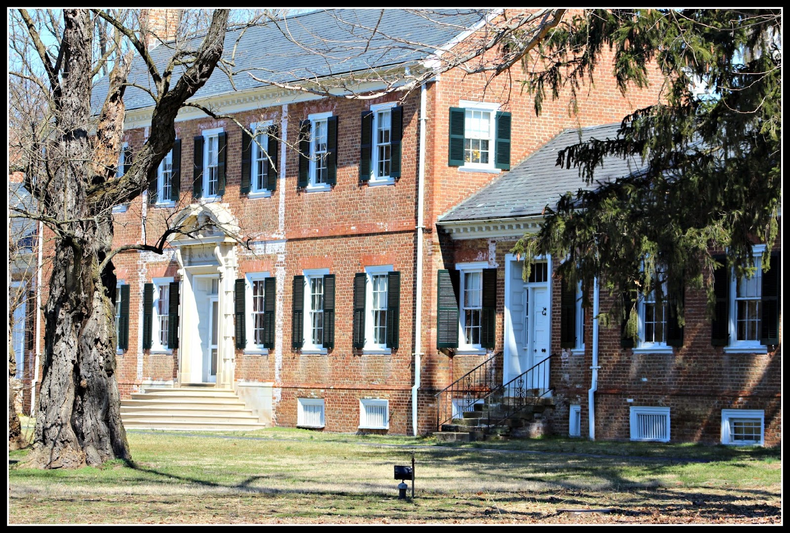The Joy of Home with Martha Ellen Chatham Manor
