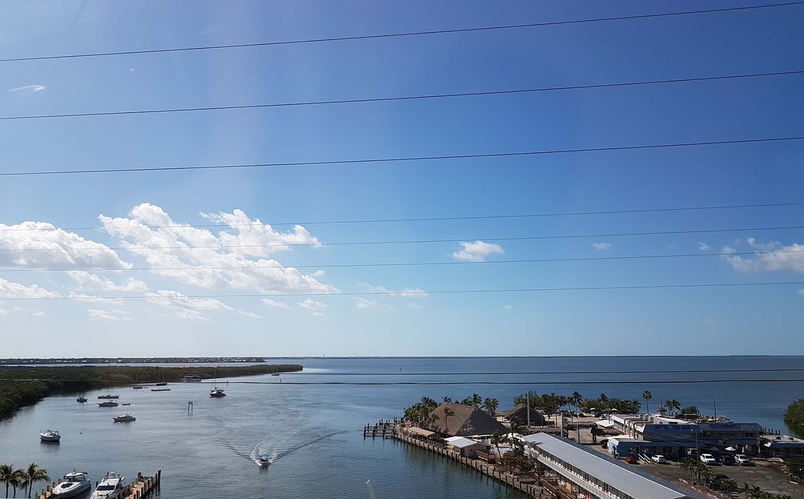 O QUE FAZER EM KEY WEST Uma Senhora Viagem